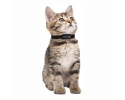 Multifunctionele Huisdier Camera - 32GB - Fiets - Sport - Kat - Hond - Poes