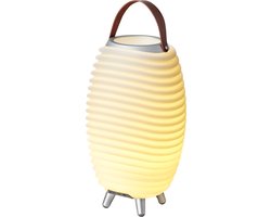 Kooduu Synergy 35 - Wijnkoeler met Bluetooth Speaker én LED Lamp - 41 cm - Bluetooth Speaker - LED Lamp - Dimbaar - Wijnkoeler - Party Speaker - Oplaadbaar - 11 uur Speeltijd - Draagbare Speakerlamp - 3-in-1
