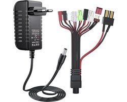 Oplaadbare NIMH/NICD Batterijlader voor 2-10s 2.4V-12V Accu's met 9 Universele Adapters voor Auto, Boot en Drone