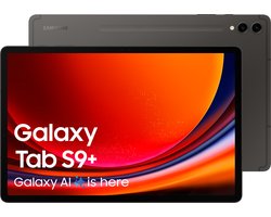 Samsung Galaxy Tab S9 Plus - WiFi - 512GB - Graphite