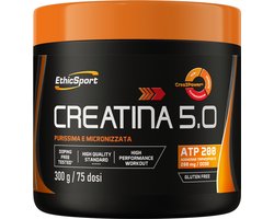 EthicSport Creatina 5.0 300 g green apple & grapefruit - Crea3Power® - 3 vormen Creatine - adenosine 5′-triphosphate (ATP) - Getest op zuiverheid en dopingvrij!