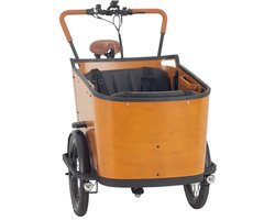 CabooCargo Bakfiets Family Cargobike 7 versnellingen Enviolo 48V 13.4Ah