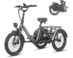 Fafrees F20 Mate Elektrische Driewieler - Opvouwbare Cargo E-Bike - 250W Motor - 48V 20Ah Accu - 20x3.0 Inch Brede Banden - Hydraulische Schijfremmen - Max 180kg Belasting