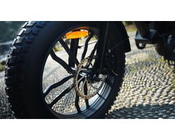 Ape Ryder Colobus Fatbike - Elektrische fiets 20 inch - All Terrain E-bike voor Heren/Dames -