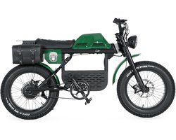 Ape Ryder Gibbon - Fatbike - Irish Groen - 20x4.5 inch - Accu 960Wh (48V, 20Ah) - 250W Achterwielmotor - Hydraulische Remmen
