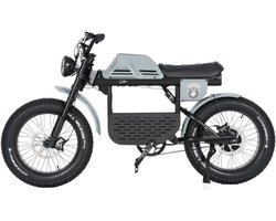 Ape Ryder Gibbon - Fatbike - Nardo Grijs - 20x4.5 inch - Accu 960Wh (48V, 20Ah) - 250W Achterwielmotor - Hydraulische Remmen