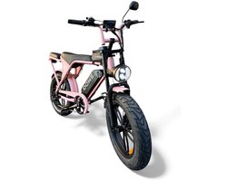 Dowe V9 Elektrische Fatbike roze | 250W | 25 Km/h | NFC | 17,5Ah Accu | Zonder gashendel | 100% legaal | roze fatbike 2026 | Rijklaar | Range 60-100 km
