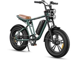 E-bike voor heren met lange actieradius en 7 versnellingen - 20 inch, 48V, 150 km