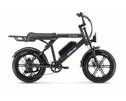 Ebikekopen.com ApeRyder Colobus - Fatbike - Rijklaar - Incl. Slot - Kettingbeschermer - Voetensteuntje -Straatlegaal - Ebike - Elektrische Fiets - Met Accessoires