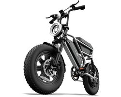 Elektrische Fatbike 16 x 3.0 Inch - 48V 15.6Ah - Tot 110 km Bereik - 250W Motor -Zwart