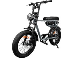 Elektrische Fatbike | EB2 | E-bike | 250W Motor | 48v / 18.2ah | 20 Inch | 25 km/u | Italy Grey