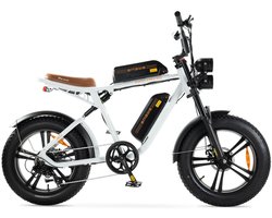 Engwe M20 Fatbike - 150 km actieradius - 20 inch - 250W motor - wit