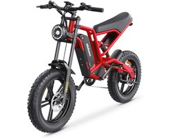 Hidoes Elektrische Fiets HD-B6 - 48V 15.6Ah Uitneembare Batterij - 100 km Actieradius - 20×4.0 Inch Banden - Shimano 7 Versnellingen - Hydraulische Schijfrem - Stabiel & Comfortabel - LCD-Display - Zwart Rood