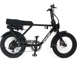 Knaap Bikes grey Edition - Elektrische Fiets - 25 km per uur