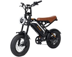 M16 Elektrische Fiets-16 x 4.0 Inch Fatbike Banden - 48v 13.5 Ah - LED display - 250w Motor - Actieadius 50 km-Dubbele schijfremmen - Stad pendelen