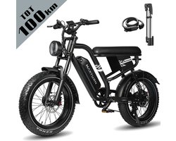 Maxtron MX10 Elektrische Fiets – 648Wh Accu – Actieradius tot 100 km – 20×4.0 Inch Fatbike Banden – Dubbele Verende Voorvork (Aluminium/Staal) – Shimano 7 Versnellingen – Mechanische Schijfremmen – Stadsfiets – Max. Belastbaar 120 kg – Zwart