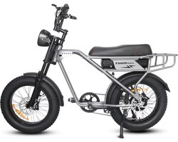 Ninryde Tourwheel T3 Pro Fatbike - 250W - 18.2Ah - 25 km/u - grijs