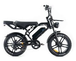 QMWHEEL V20 Pro Elektrische Fatbike - Ingebouwd Alarmsystseem - Inclusief Achterzitje - Inclusief Voetsteuntjes - Inclusief Voorrekje - 20 Inch - 250W Motor - 7 Versnellingen - 60 km Actieradius - Hydraulische Schijfremmen - Zwart