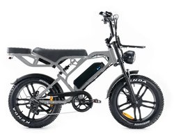 QmWheel V20 Pro Fatbike - 20 inch - 250W motor - 60 km actieradius - grijs