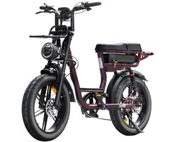 V20 Comfort Fatbike Paars 2026