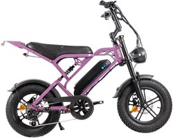 V20 Mini - Paars - 468Wh - Elektrische Fatbike