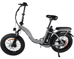 Windgoo E20 Pro Elektrische Vouwfiets – Fatbike - Rijklaar Geleverd - Windgoo Smart-app - 20 Inch - 250W Motor - 55 km Actieradius - Mechanische Schijfremmen - Lichtgrijs