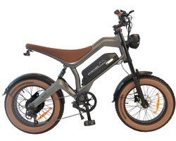 DYU Elektrische Fiets 20 Inch – 48V 18.2Ah Accu – 750W Motor – Actieradius tot 60 km – Schijfremmen – LCD Display – Unisex