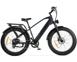 ENGWE E26 Elektrische Fatbike - E-bike - Hoge Instap - 26 Inch - 250W Motor - 7 Versnellingen - 140 km Actieradius - Hydraulische Schijfremmen - Zwart