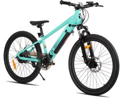 JOYSTAR 24 Inch Elektrische Kinder Mountainbike - 250W E-Bike voor Kinderen (7+ Jaar) - 25 km Actieradius - Met Verwijderbare Accu & Schijfremmen – Spaakwiel - Groente