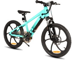 JOYSTAR Elektrische Fiets E-Bike – 20 Inch – Voor Kinderen/Tieners – 250W Motor – 1 Versnelling – Bladwiel – Mechanische Schijfremmen – Groente