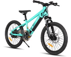 JOYSTAR Elektrische Fiets E-Bike – 20 Inch – Voor Kinderen/Tieners – 250W Motor – 1 Versnelling – Spaakwiel – Mechanische Schijfremmen – Groente