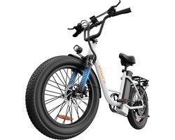 URLIFE E20 20" x 3 elektrische fiets met uitneembare 48 V 13 Ah-accu