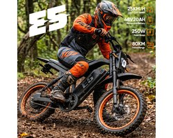URLIFE E5 elektrische fiets met uitneembare 48V 20Ah-accu