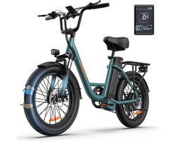 20 inch Elektrische fiets(155-195 cm) - 48V 13Ah Verwisselbare Accu tot 100KM -250 W motor - 20 * 3.0" Dikke Band - LCD Scherm - 25 km/u - 7 Versnellingen - Elektrische Fietsen voor Heren en Dames - Groente