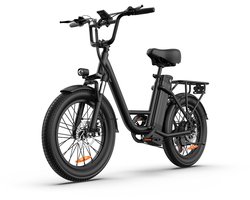 20 inch Elektrische fiets(155-195 cm) - 48V 13Ah Verwisselbare Accu tot 100KM -250 W motor - 20inch - LCD Scherm - 25 km/u - 7 Versnellingen - Elektrische Fietsen voor Heren en Dames - Groente Zwart