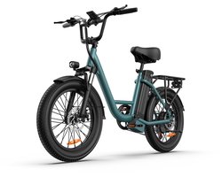 20 inch Elektrische fiets(155-195 cm) - 48V 13Ah Verwisselbare Accu tot 100KM -250 W motor - 20inch - LCD Scherm - 25 km/u - 7 Versnellingen - Elektrische Fietsen voor Heren en Dames - Groente