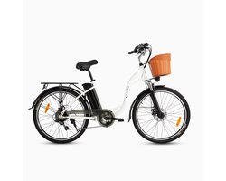 DYU C6 26" Stads-e-bike – 250 W motor, 36 V/12.5 Ah afneembare batterij, ±60 km bereik, voor dagelijks comfort & stijl