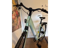 E-bike dames met riemaandrijving