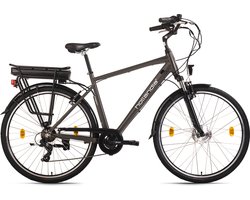 E-Citybike Heren 28" Hollandia Zagon Framemaat 53 cm Grijs 250 Watt Li-Ion 36V/13 Ah 6 Versnellingen