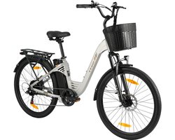 Elektrische Fiets TTGO C2 Pro - 250W Motor - 36V 18Ah Accu - Bereik 80-120km - 26" Banden Elektrische Stadsfiets - Shimano 7-Speed - 25km/u - Zilver