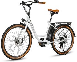 Elektrische stadsfiets 26-inch met 36V lithiumbatterij en 250W motor
