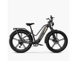 Fiido Titan - Elektrische Touringfiets - Grijs - 26x4 inch - Accu 696Wh (48V) - 250W (55Nm) Mivice Motor - 9 Versnellingen - Hydraulische Remmen