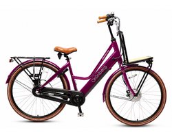 Amsterdam Transport e-bike 50-60 km actieradius