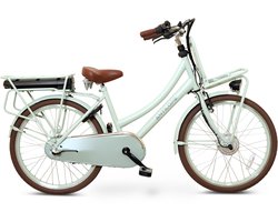 Antilope Cargo Plus N3 Elektrische Transportfiets 24 Inch 40 Cm Lichtgroen
