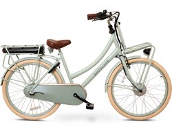 Antilope Cargo Plus N3 Elektrische Transportfiets 26 Inch 46 Cm Lichtgroen