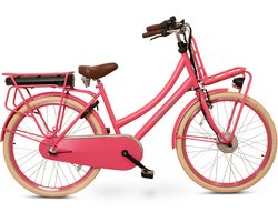 Antilope Cargo Plus N3 Elektrische Transportfiets 26 Inch 46 Cm Roze