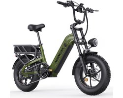 HillMiles MileLink 1 Elektrische fiets, 250W 65Nm 25km/u met 50° stuurdraaihoek,Dubbele accu 48V 18+22.5Ah, brede banden hydraulische remmen en grote achterdrager voor lading stads terreinfiets, Groen