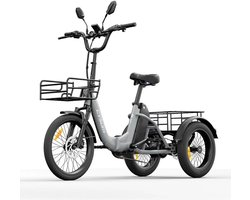 16 Inch 48V 20Ah Accu Famille elektrische longtail transportfiets - Klapfiets E-Bakfiets - Elektrische Vrachtsfiets 180kg - 100km Bereik - Elektrische Driewieler - 3-wielige cargo e-bike - 90 Nm -Voor Senioren & Dagelijks Gebruik-Grijs