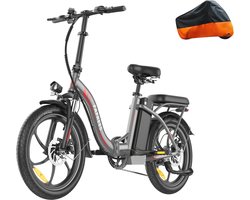 20 inch Vouwfiets E-bike met 250W Motor en 20Ah Accu - Uniseks