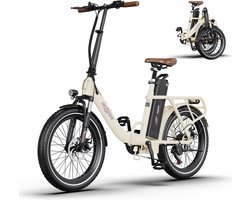Opvouwbare Elektrische Fiets 20 Inch met 250W Motor en Grote Verwisselbare Batterij
